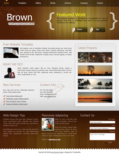 Brown Website Templates